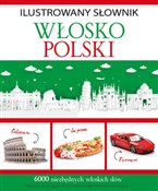 polish book : Ilustrowan... - Tadeusz Woźniak