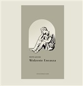 polish book : Widzenie E... - Piotr Gociek