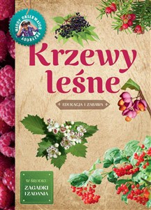 Obrazek Krzewy leśne Edukacja i zabawa