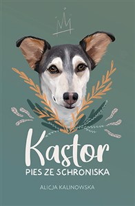 Obrazek Kastor. Pies ze schroniska