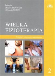 Obrazek Wielka Fizjoterapia Tom 2
