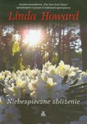 polish book : Niebezpiec... - Linda Howard