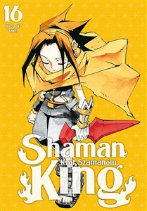 Picture of Shaman King. Tom 16