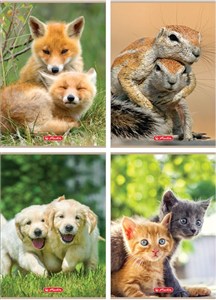 Obrazek Zeszyt A4/32K kratka Animals (10szt)