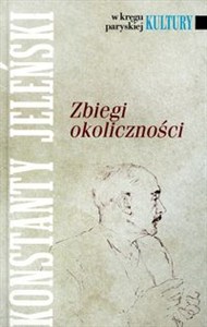 Picture of Zbiegi okoliczności