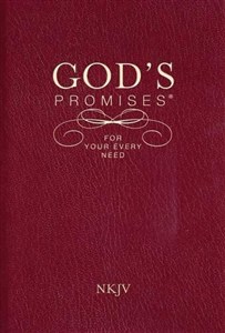 Picture of God's Promises for Your Every Need