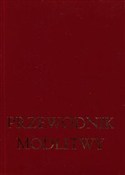 polish book : Przewodnik... - James Socias, Jan Odogherty