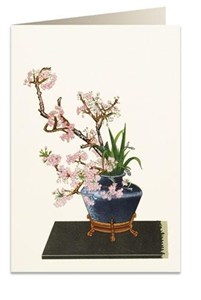 Obrazek Karnet B6 + koperta 6012 Czarny wazon