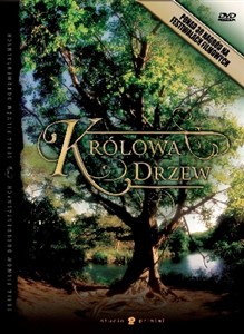 Obrazek Królowa drzew