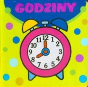 polish book : Godziny - Marcela Grez