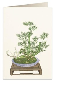 Picture of Karnet B6 + koperta 6013 Bambus