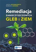 Remediacja... - Jacek Antonkiewicz, Barbara Gworek - Ksiegarnia w UK
