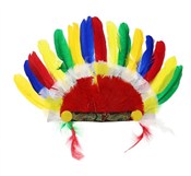 Pióropusz ... -  Książka z wysyłką do UK