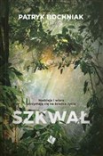 Zobacz : Szkwał Nad... - Patryk Bochniak