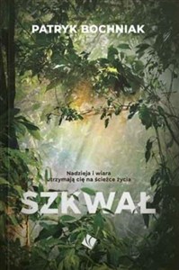 Obrazek Szkwał Nadzieja i wiara utrzymają cię na ścieżce życia