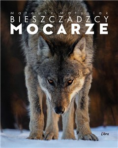 Obrazek Bieszczadzcy mocarze