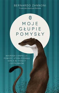 Obrazek Moje głupie pomysły