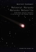 Książka : Meteoryt M... - Wojciech Stankowski