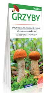 Obrazek Grzyby