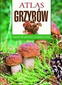 Atlas grzy... - Sławomir Sokół -  Książka z wysyłką do UK