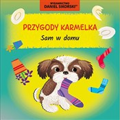 Książka : Sam w domu... - Daniel Sikorski
