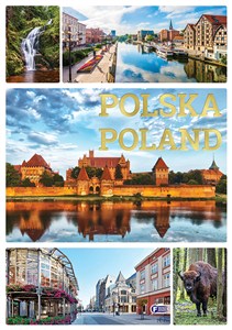 Obrazek Polska Poland