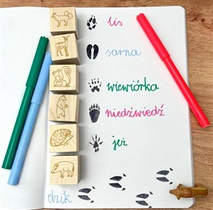 Obrazek Stemple ślady w lesie