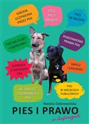 Pies i pra... - Natalia Dobrowolska -  books from Poland