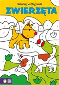 Koloruję w... -  books from Poland