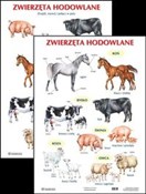 Plansza Zw... -  Polish Bookstore 