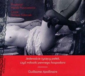 Obrazek [Audiobook] Jedenaście tysięcy pałek czyli miłostki pewnego hospodara