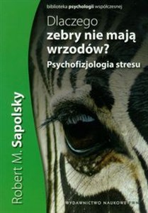 Obrazek Dlaczego zebry nie mają wrzodów? Psychofizjologia stresu