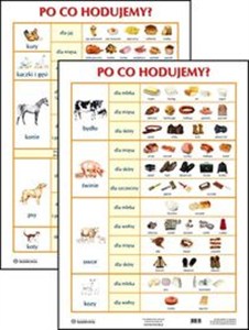 Obrazek Plansza Po co hodujemy?