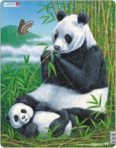 Obrazek Puzzle Panda