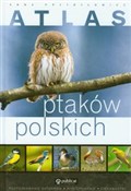 Atlas ptak... - Anna Przybyłowicz -  books in polish 