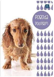 Obrazek Zeszyt A5/16K gładki 70g UV (20szt)