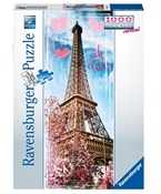 Puzzle 100... -  books from Poland