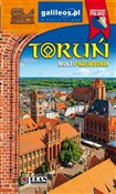 Toruń. Mul... - Rafał Fronia -  books from Poland