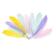 Zobacz : Piórka gęs...