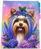 Teczka A4+... -  books from Poland