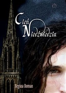 Picture of Cień Niedźwiedzia