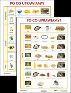 Obrazek Plansza Po co uprawiamy?