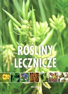 Picture of Rośliny lecznicze