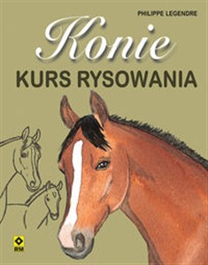 Obrazek Konie Kurs rysowania