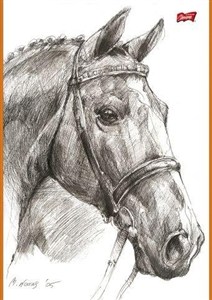 Picture of Szkicownik A4/20K