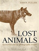 polish book : Lost Anima... - Errol Fuller