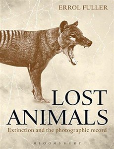Obrazek Lost Animals by Errol Fuller