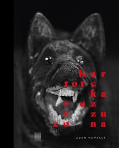 Obrazek Kartoteka rozrzucona. Fotograficzna podróż z Różewiczem