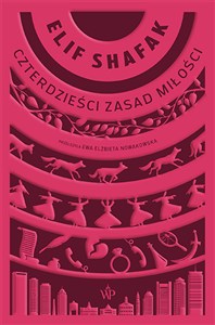 Picture of Czterdzieści zasad miłości