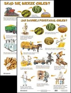 Obrazek Plansza Skąd się bierze chleb?